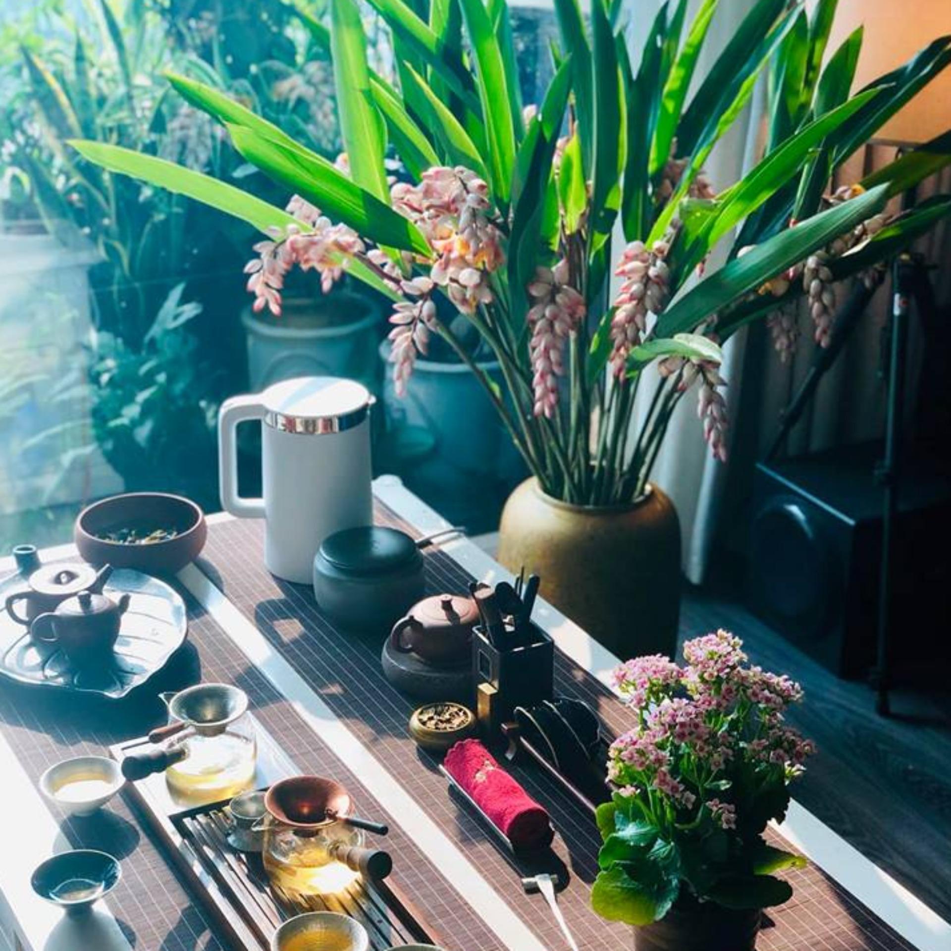 Tuyết Shan Cổ Thụ Trà Giàng B 250g