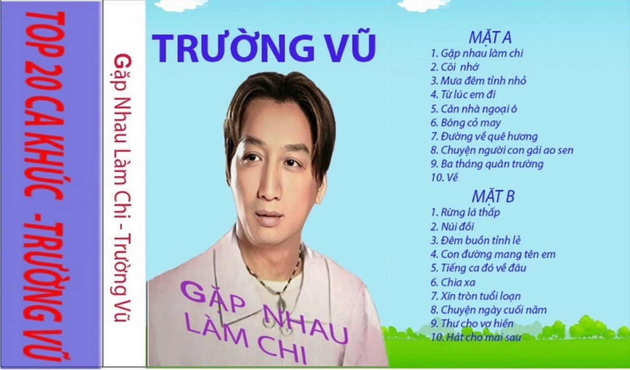 BĂNG CASSETTE TRƯỜNG VŨ