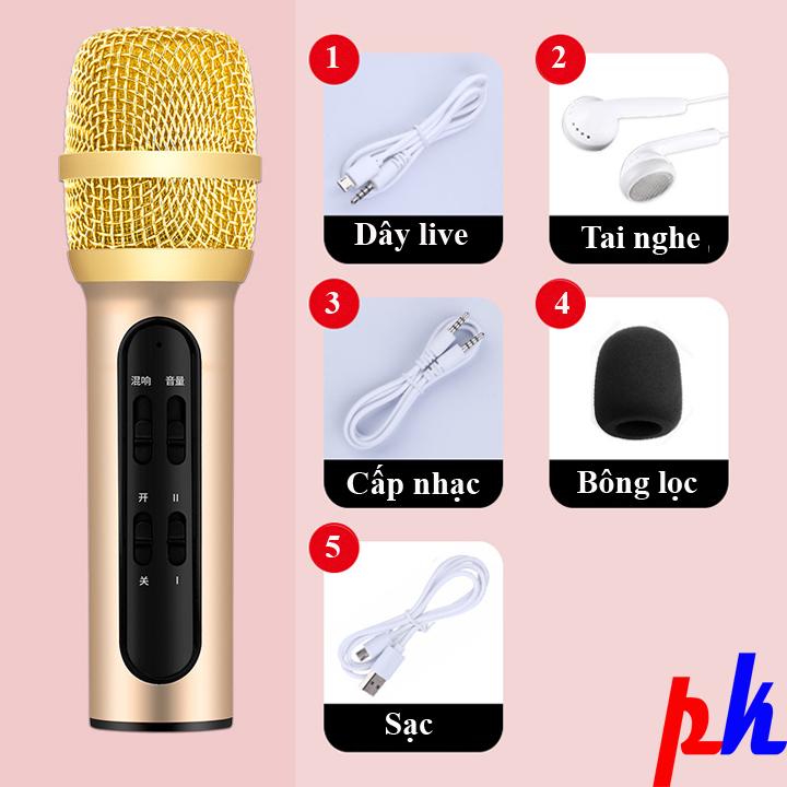 Micro karaoke live stream C11