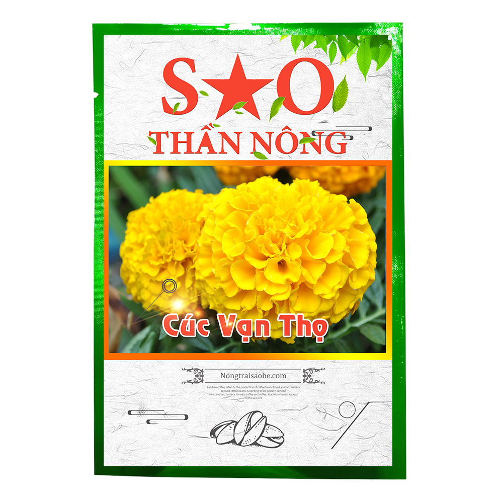 Hạt giống hoa Cúc Vạn Thọ - Sao Thần nông
