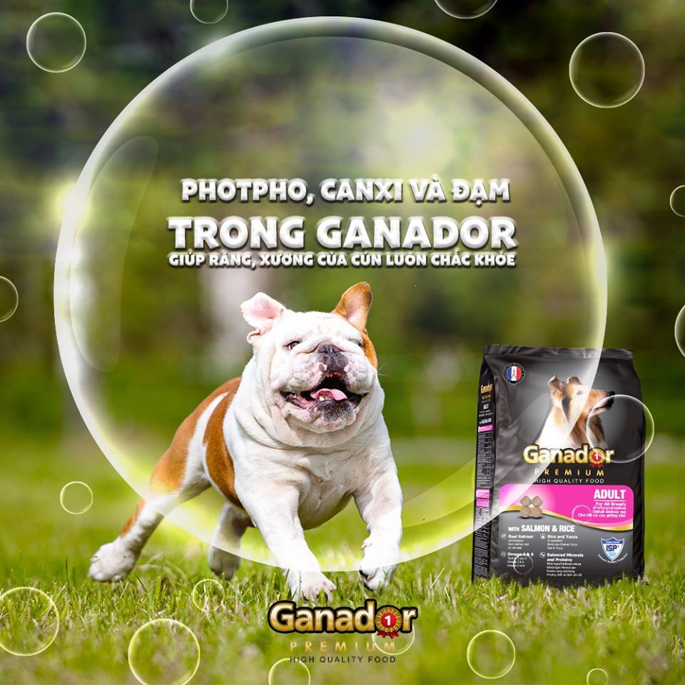 [3kg] Thức Ăn Hạt Cho Chó Ganador Nhiều Vị (Chó Con & Chó Lớn)