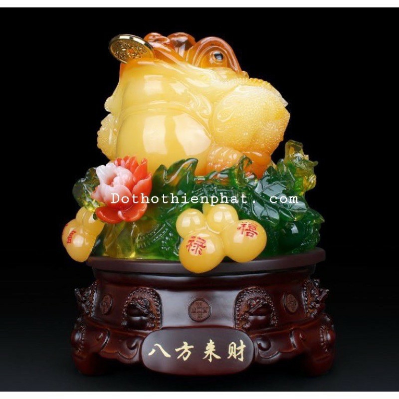Cóc vàng ngậm tiền phong thủy cao 19 cm ngang 15 cm hàng loại 1
