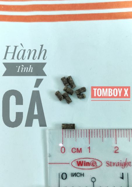 Cám Tomboy X Hũ Nhỏ [hạt CHÌM 2 x 3.5-5mm]
