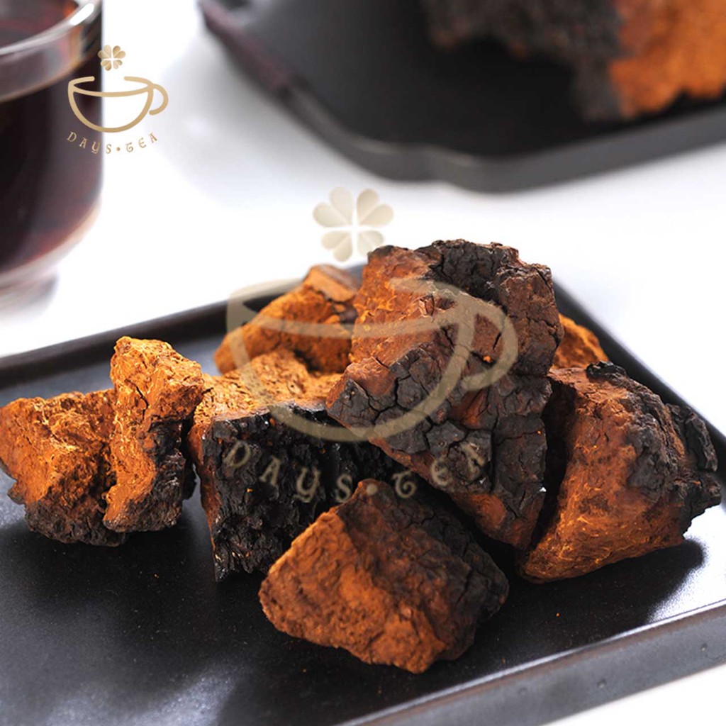 NẤM CHAGA 100G