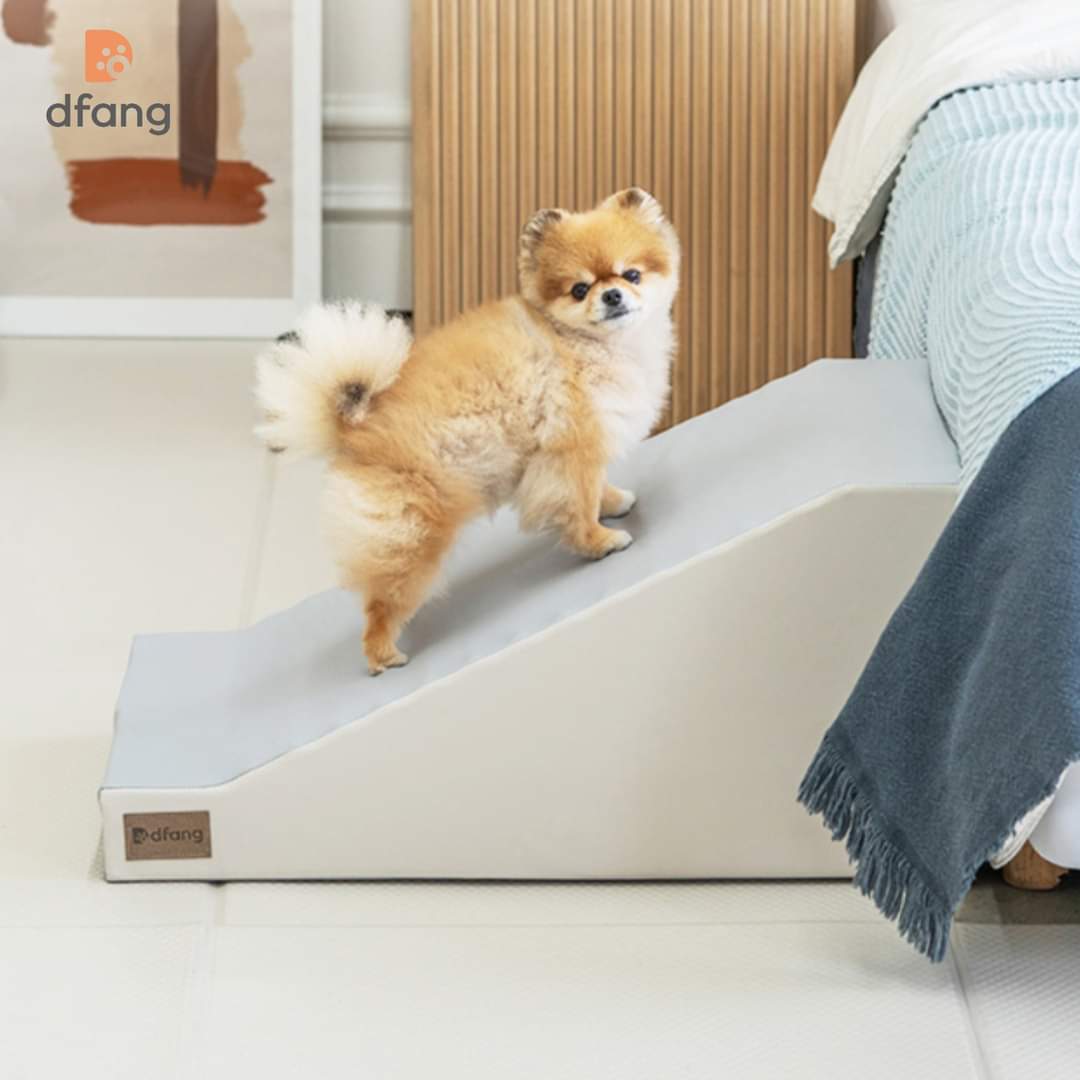 cầu thang cho thú cưng - dog stair - dog step
