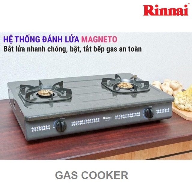 Bếp gas đôi Rinnai RV-377 (G)N