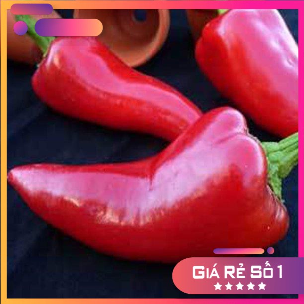 Hạt giống ớt fresno chile f1 - 15 hạt