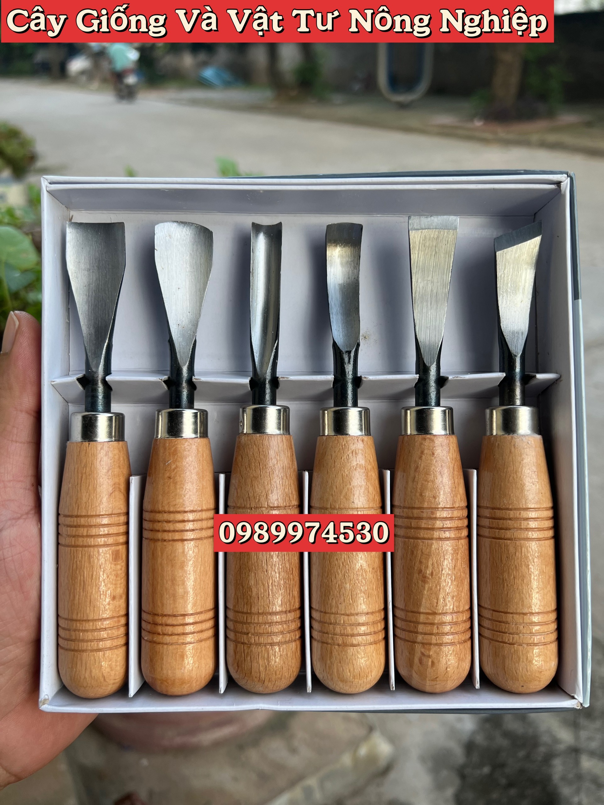 Bộ đục cây cảnh, bonsai , gỗ mỹ nghệ chất lượng cao