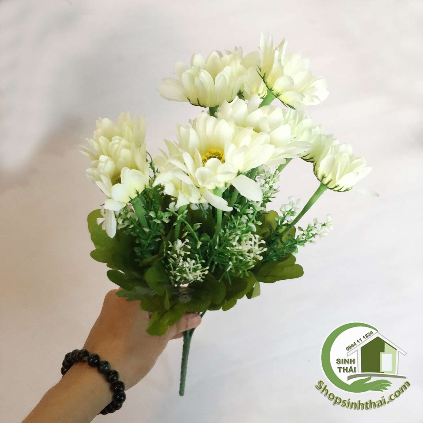 [HCM]Bụi hoa cúc thạch thảo màu trắng - bụi cao 38cm