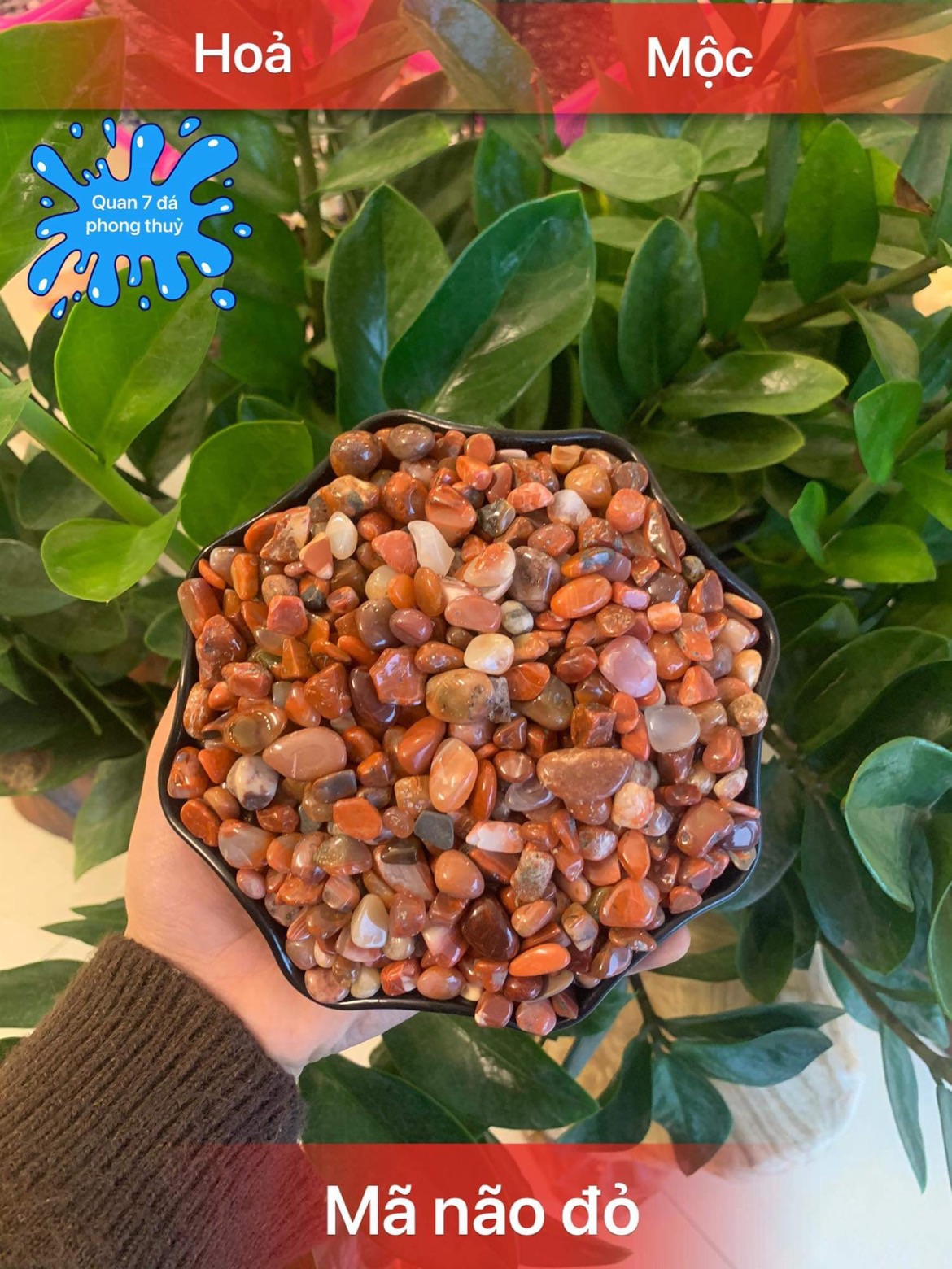 [HCM]vụn đá thạch anh màu tự nhiên (100g)