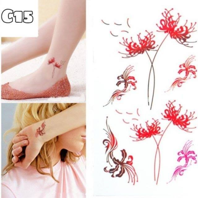 Hình dán cao cấp hoa bỉ ngạn C15 H10