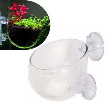 Cốc trồng cây thủy sinh