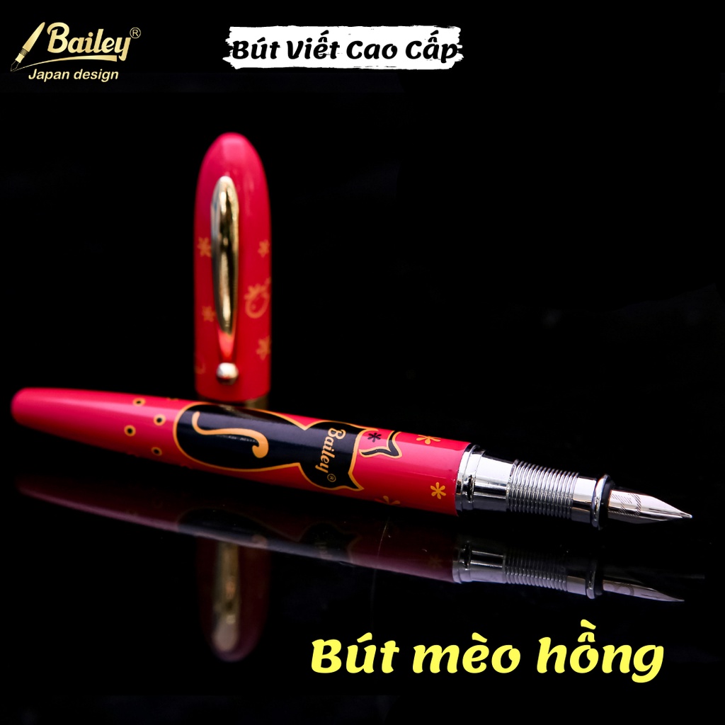 Bút mực luyện chữ đẹp Bailey 03 / Bút máy con mèo cao cấp Aladin 03