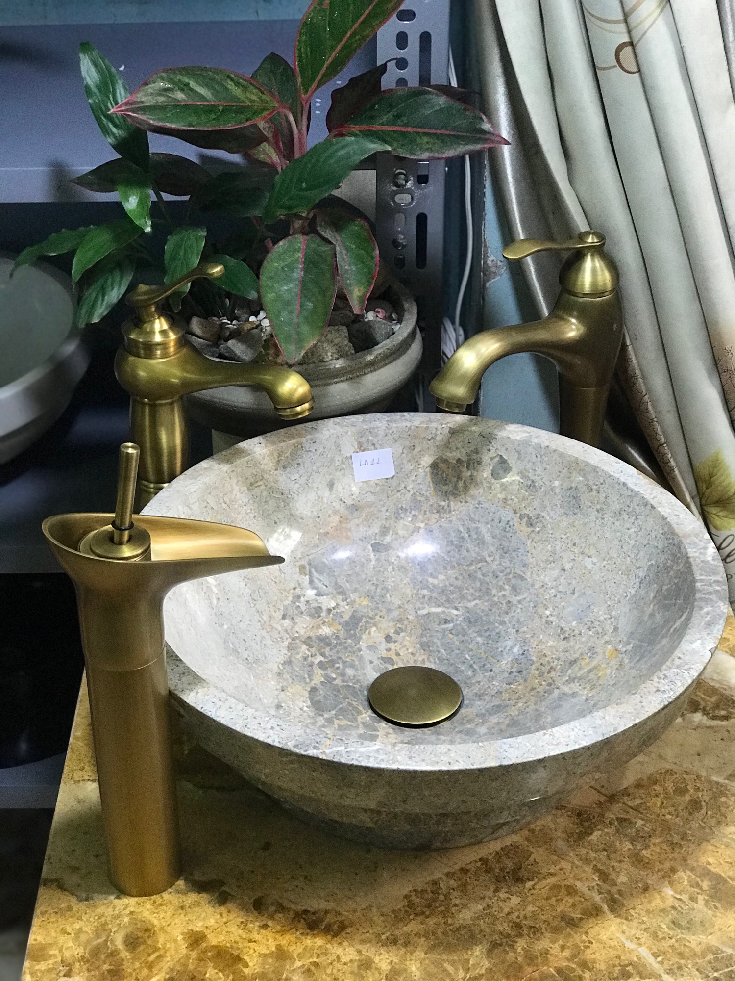 Chậu đá cụi
