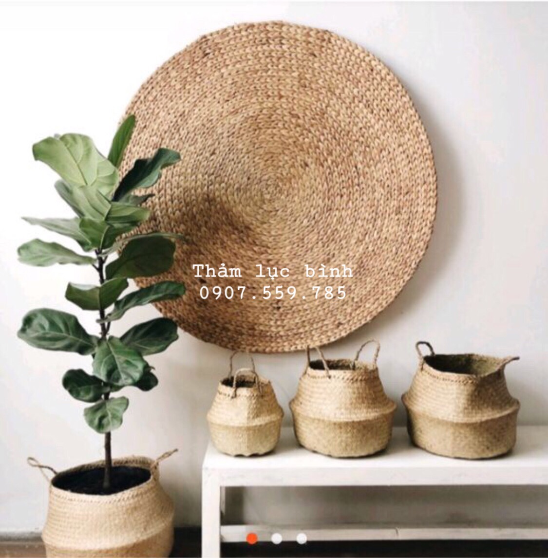 Thảm Lục Bình Chụp Ảnh Lót Sàn Vintage