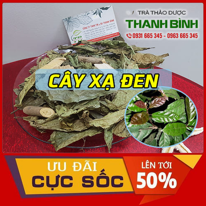 Cây xạ đen 500g khô loại đặc biệt - đông y thanh bình