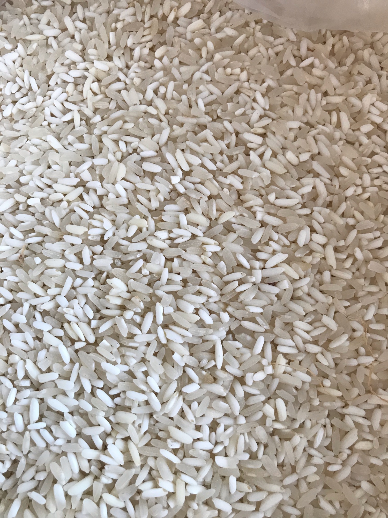 Gạo nếp nương điện biên