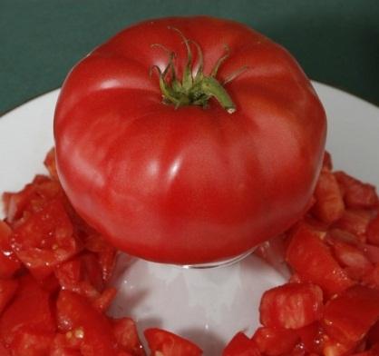 Hạt giống cà chua leo giàn năng suất