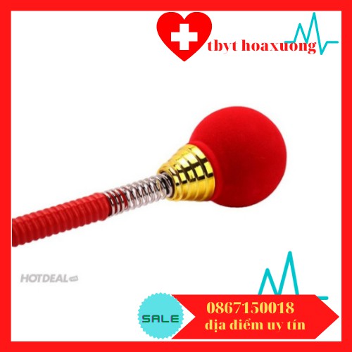 Cây đấm lưng có đầu gãi duy thành