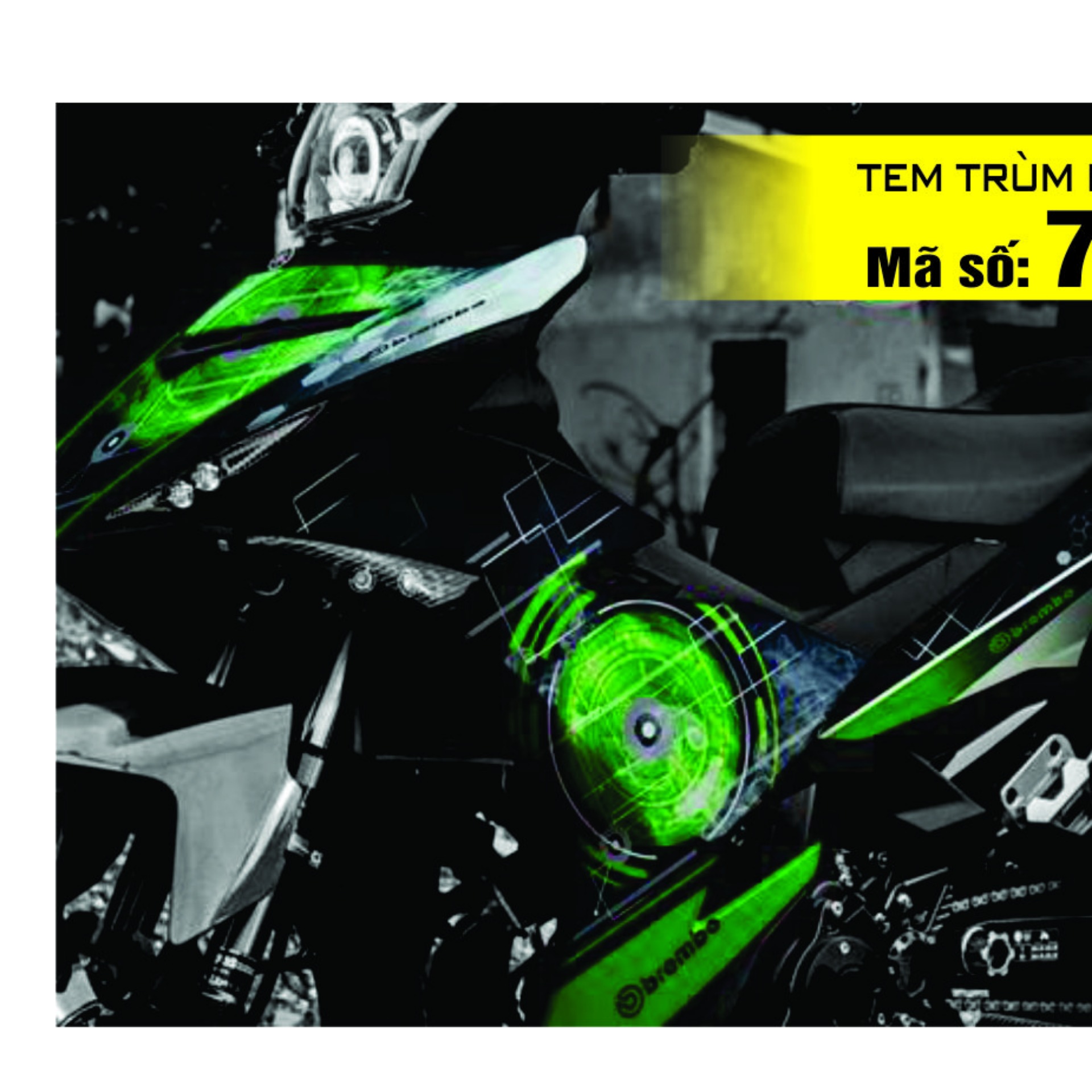 Tem trùm Exciter 150 - 20766
