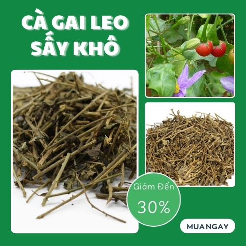 [Hàng công ty chất lượng cao] Trà cà gai leo khô 1kg - Thảo Dược Tấn Phát - Hỗ trợ thanh nhiệt và giải độc