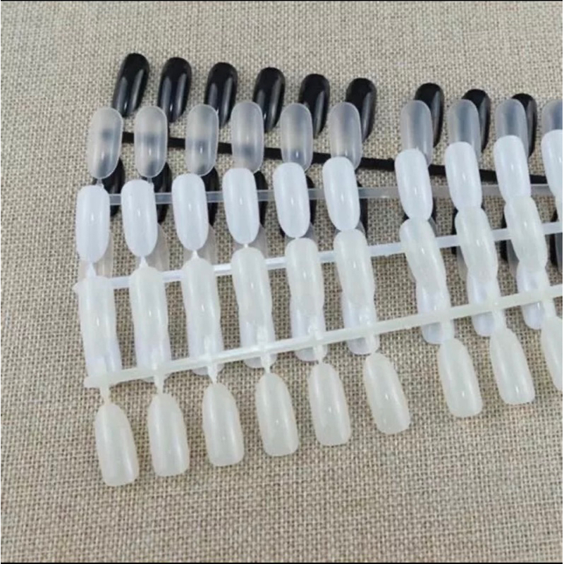 Móng vỉ bầu tập vẽ nails - Kitty Nails Supply