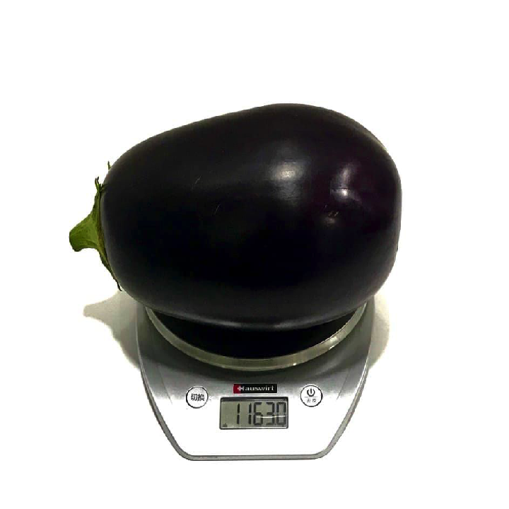 [Hạt giống Nhật Bản] Gói 10 hạt giống cà tím Nhật Bản Kuro