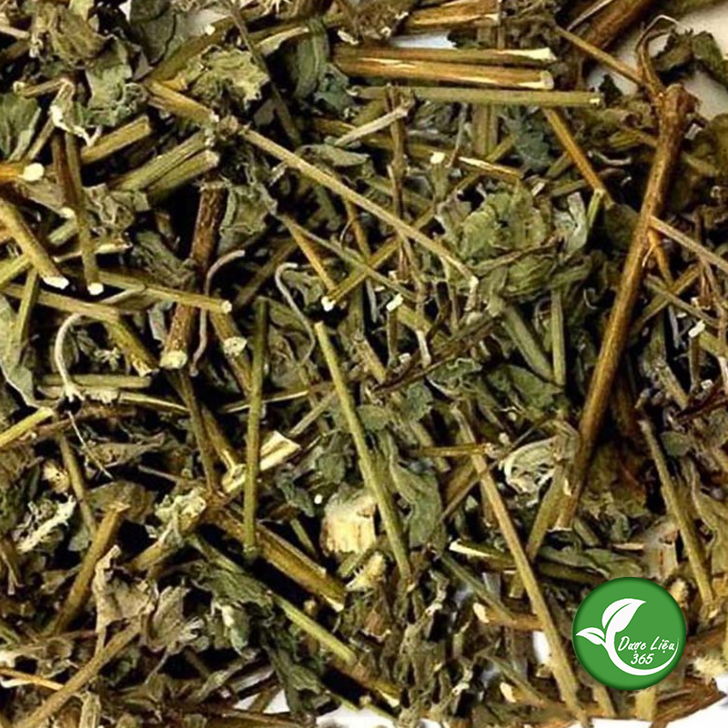 Cây cỏ xước (gói 1kg khô) - DL018