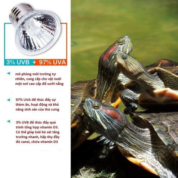 [pet] Đèn sưởi UVA + UVB 3.0 cho bò sát nomoy pet