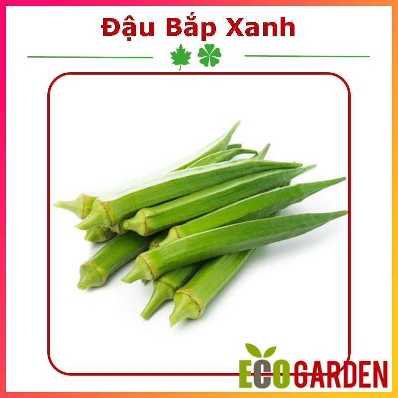 Hạt giống đậu bắp trái xanh op