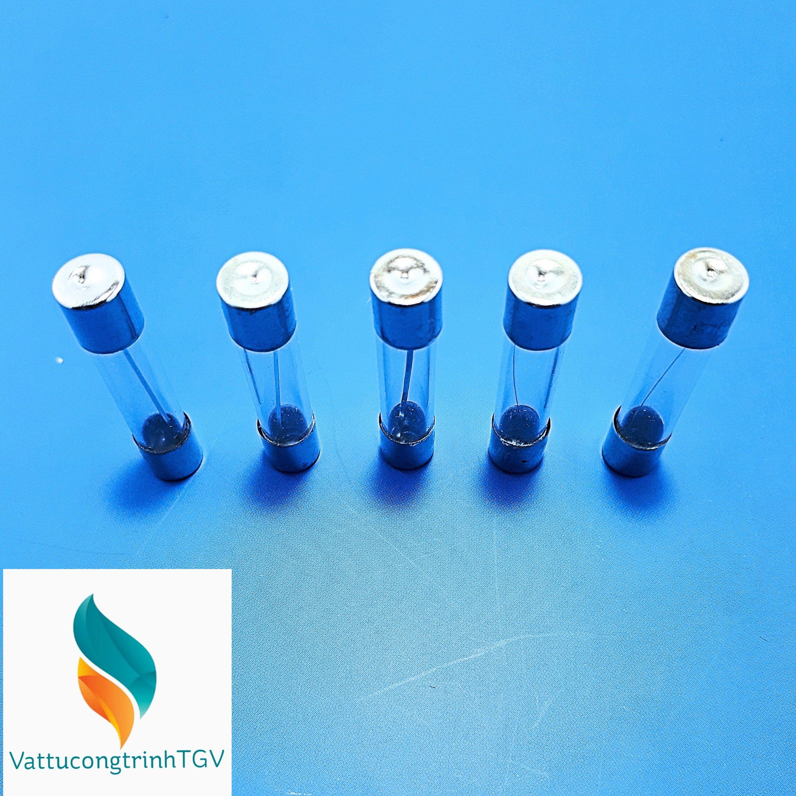 Bộ 5 cầu chì 5A (30x6mm)