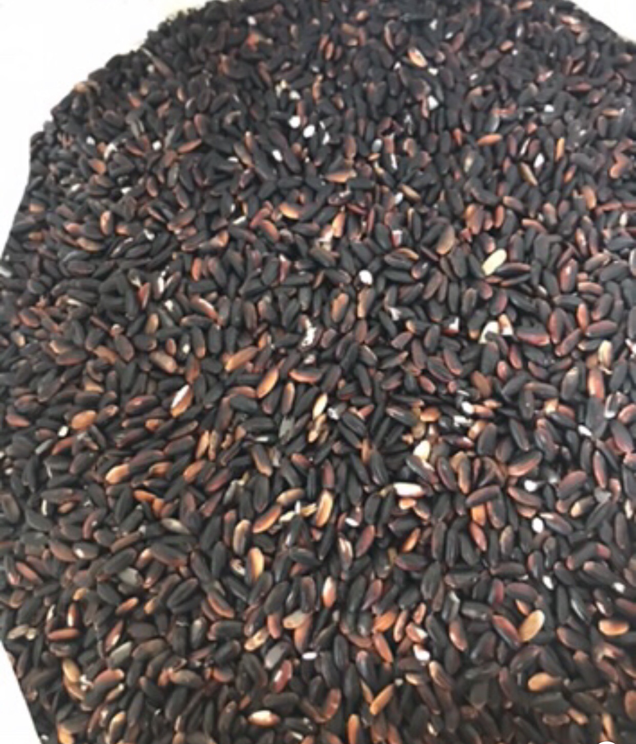 Gạo cẩm nếp nương biên (5kg)