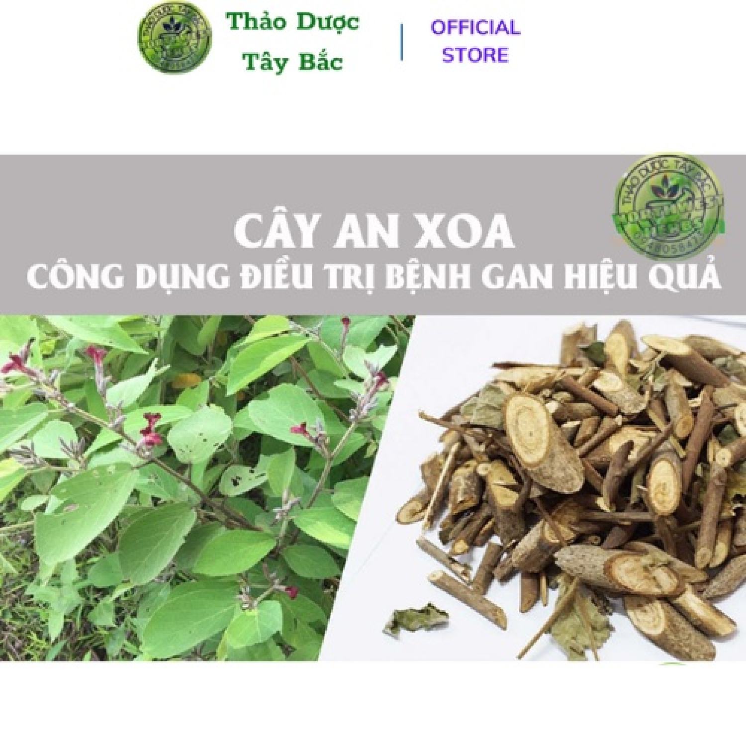 [Freeship Max] Cây an xoa hàng chuẩn gói 1kg