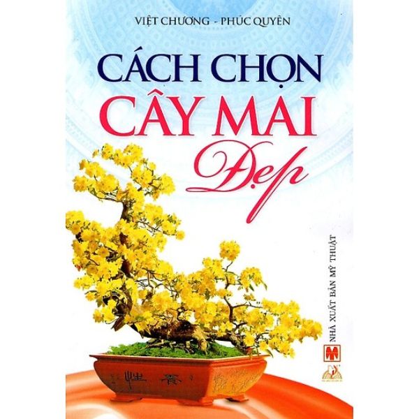 Cách chọn cây mai đẹp