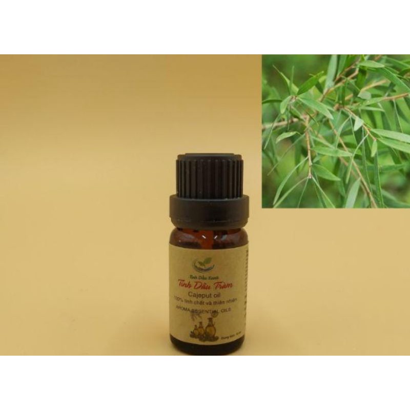 Đèn xông tinh dầu gốm