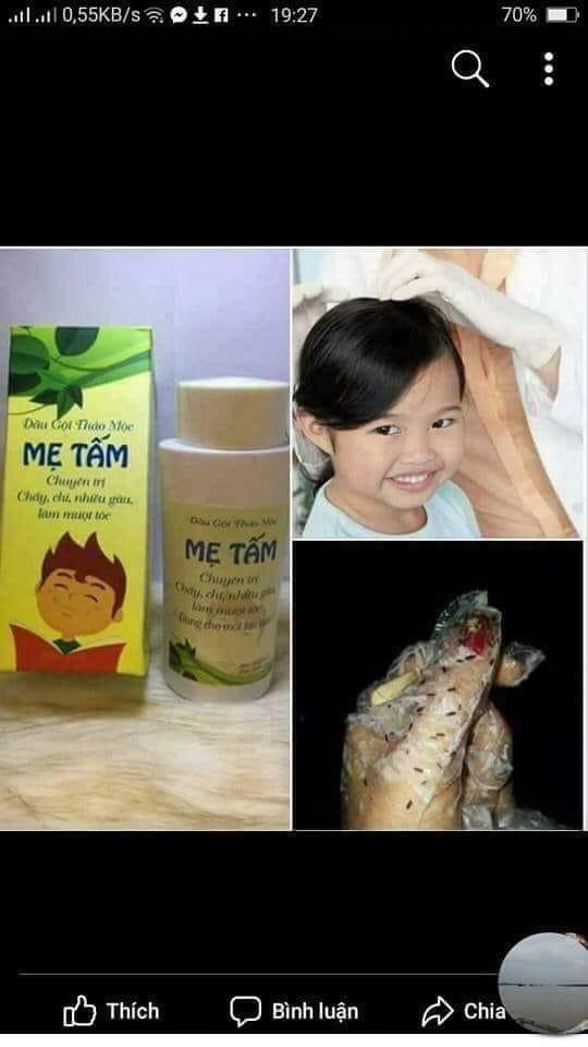 Dầu gội thảo mộc tri chấy Chị Tấm
