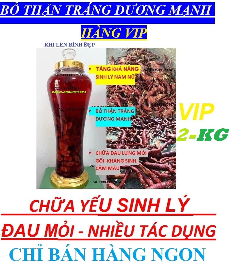 24THANG rễ MÚ TỪN TUYẾT SƠN KHẮC TINH YẾU_SINH_LÝ+ĐAU MỎI+SUY NHƯỢC CƠ THỂ+TĂNG HAM MUỐN+HỒI XUÂN+BỔ THẬN+TRÁNG DƯƠNG ĐỈNH NAM/NỮ MT 2.24