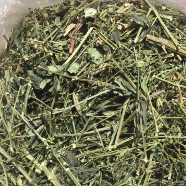 Xuyên Tâm Liên - 8876