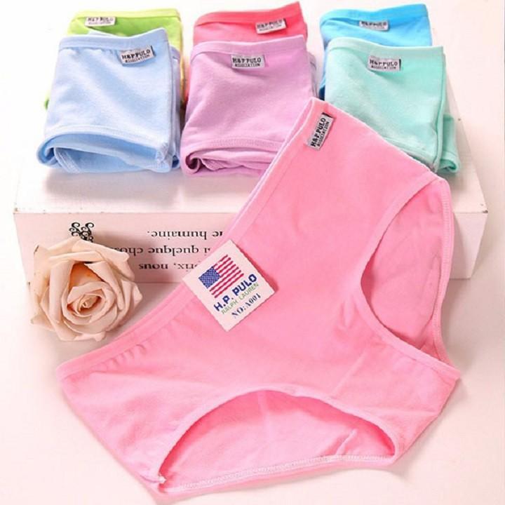 Combo 10 Quần Lót Nữ Cotton Pulo - Chất Mát 75a85