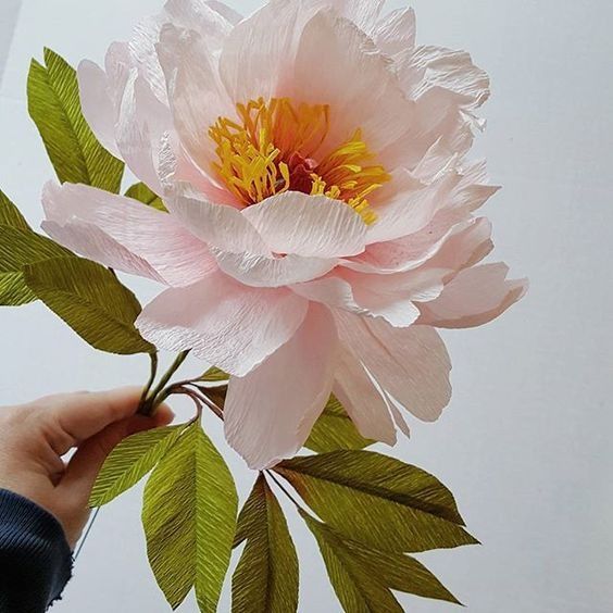 Giấy nhún các màu làm hoa