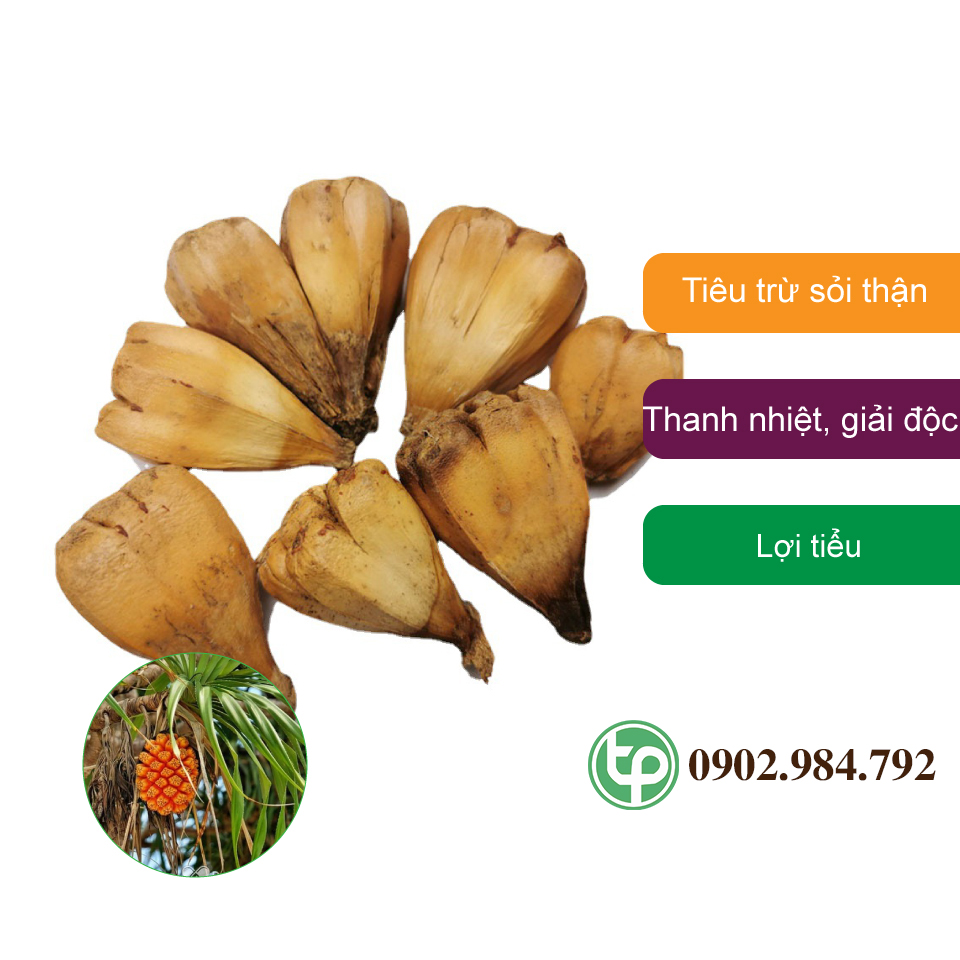[Túi lớn loại 1kg] Cây dứa dại khô 1kg cao cấp - Thảo Dược Tấn Phát - Hàng mới về - Giá tốt