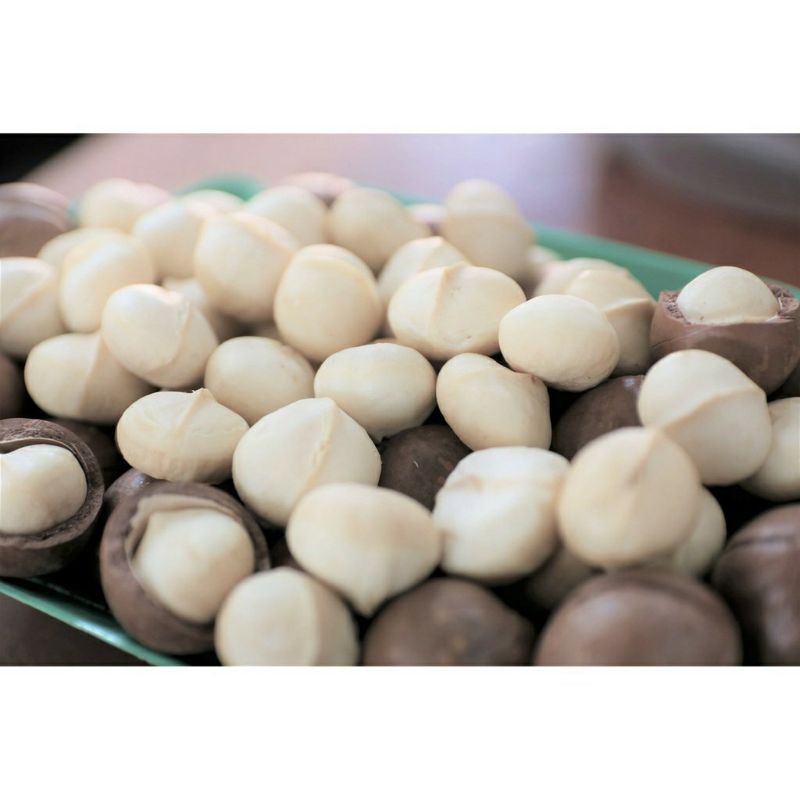 (MACCA ĐẮKLAK) túi 500g hạt macca loại ngon kèm đồ khui