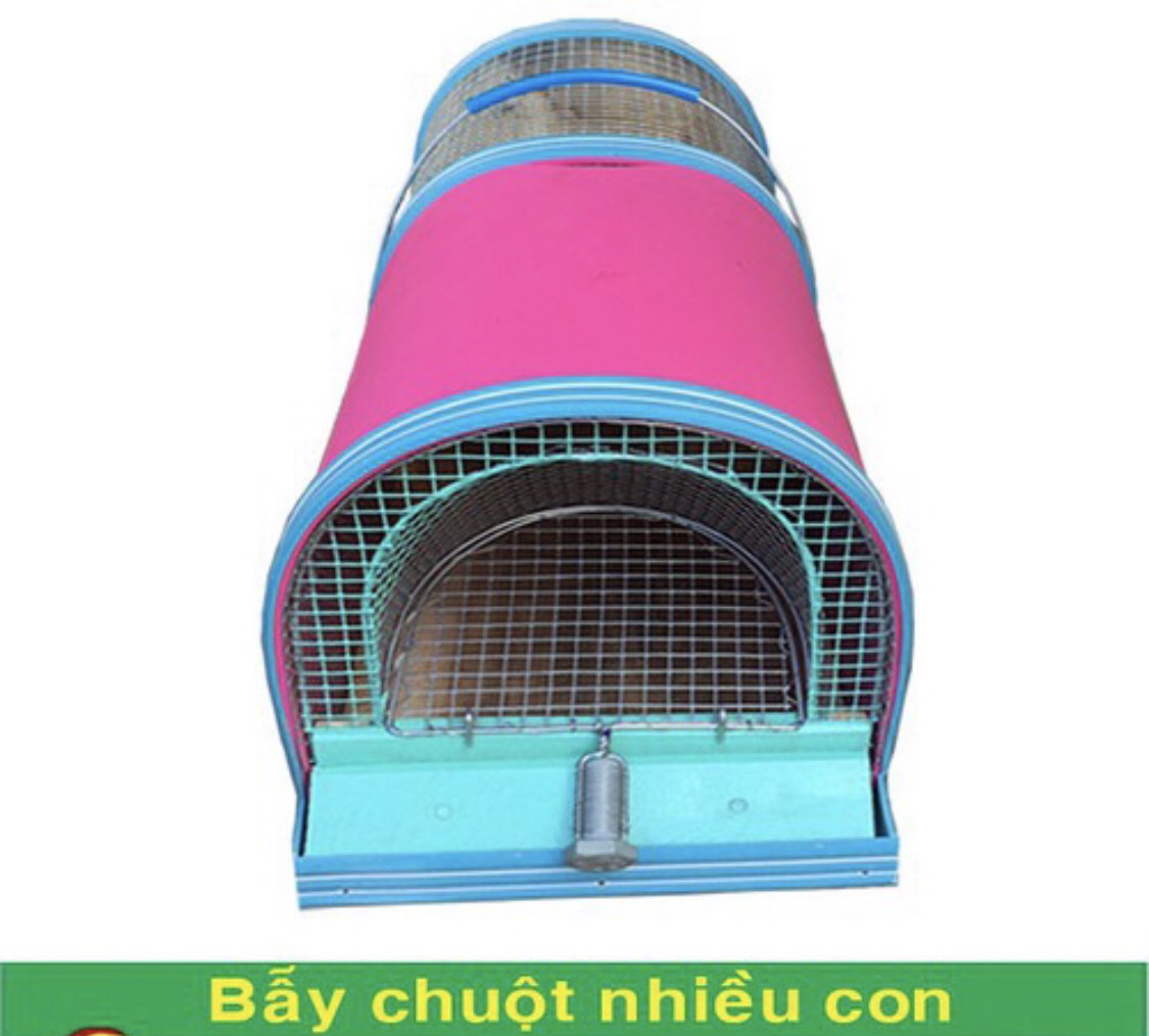 Bẫy Chuột Năm Phước An Giang ( Tặng Kèm Mồi Nhử Chuột Đặc Biệt )
