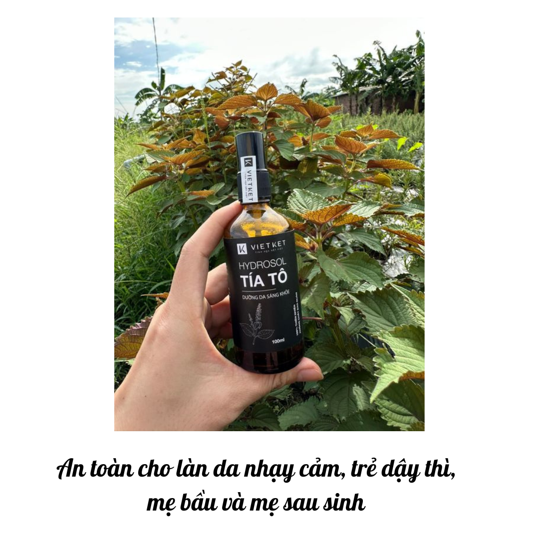 Hydrosol tía tô Vietket Giúp da sáng mịn, se khít lỗ chân lông, giảm mụn, giảm sưng viêm Chai 500ml Koshka Home