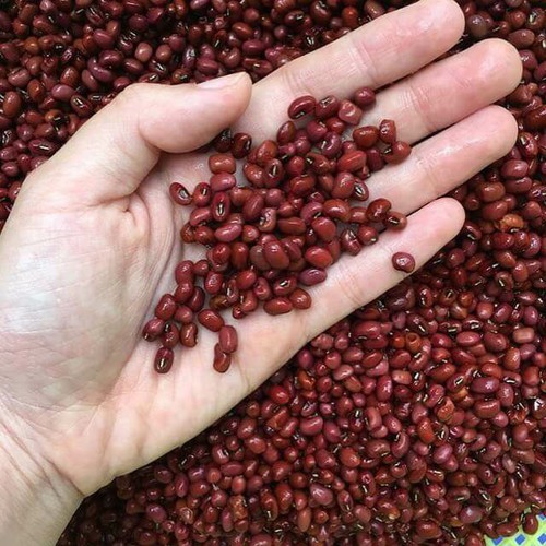 Đậu đỏ nhà trồng daklak 1kg