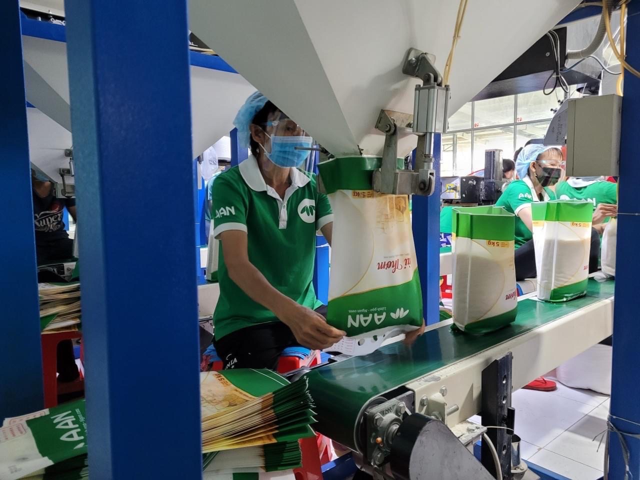 GẠO A AN DT8