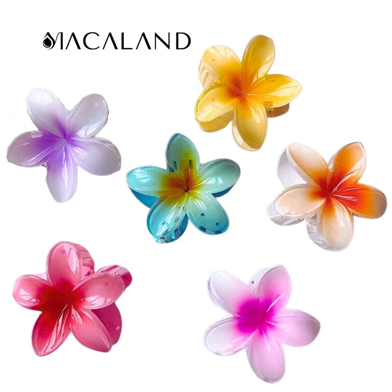 [GIFT - MÀU NGẪU NHIÊN] Kẹp tóc hoa sứ nhiều màu sắc loại lớn 8cm