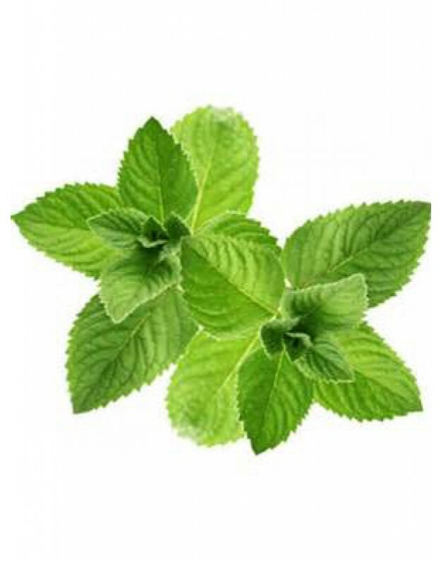 6 Lọ Kẹo Gum Bạc Hà Doublemint