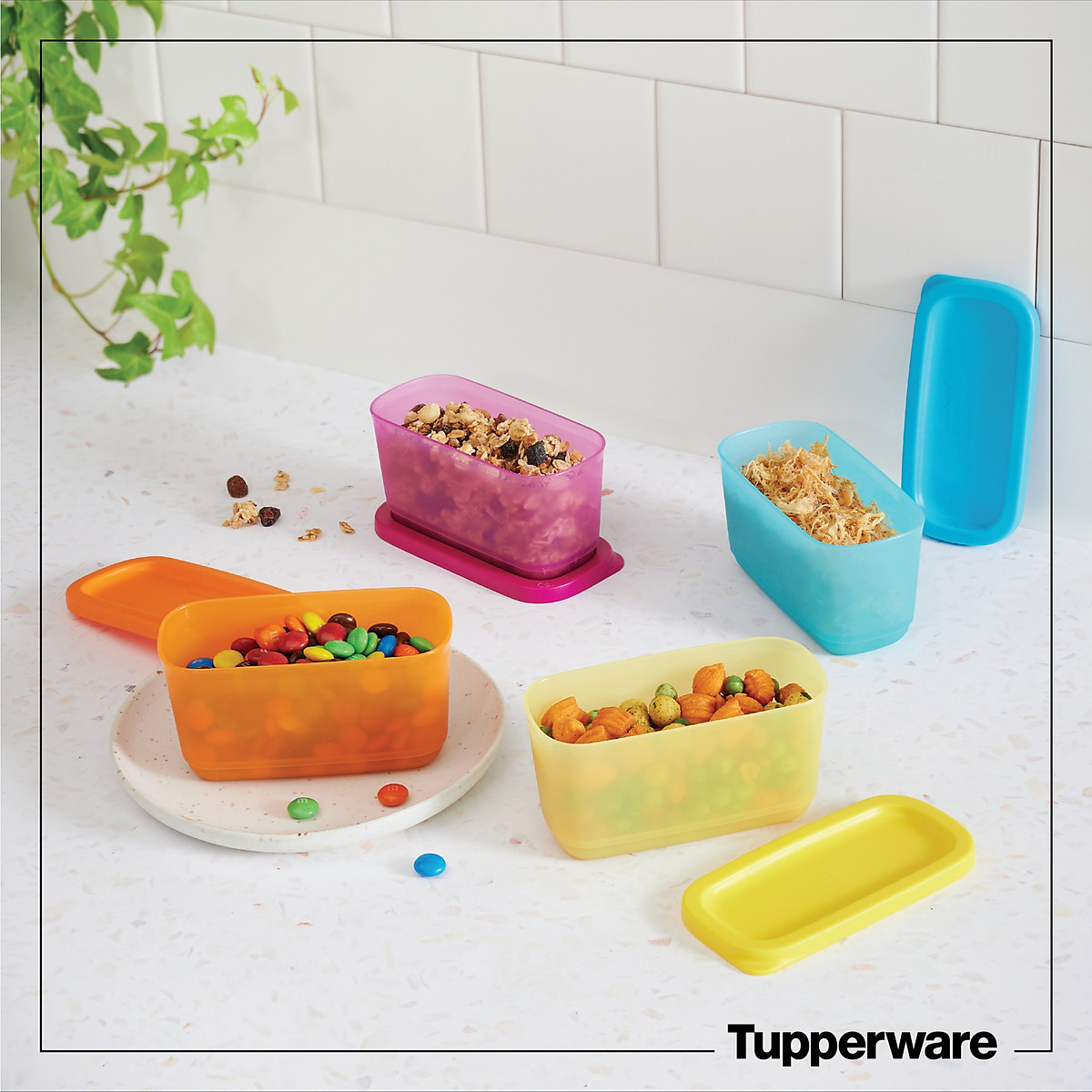 Bộ hộp Tupperware Mini Rectangular 250ML (4)