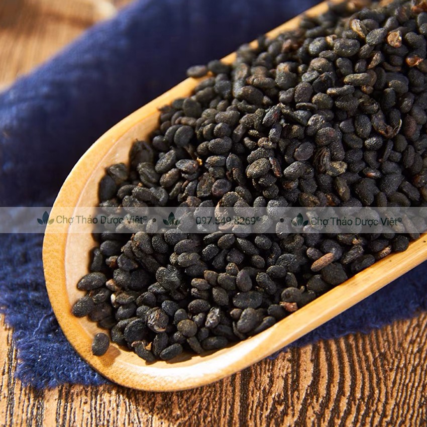 Phá cố chỉ khô 100g, bổ cốt chỉ hỗ trợ bổ thận tráng dương, điều hòa kinh nguyệt, lợi tiểu